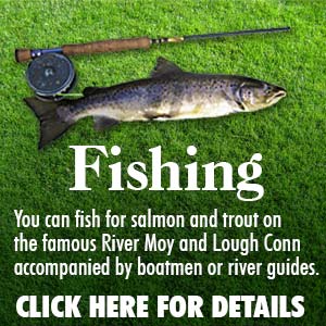 Foxford Lodge & Studio for fishing in Foxford County Mayo